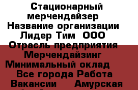 Стационарный мерчендайзер › Название организации ­ Лидер Тим, ООО › Отрасль предприятия ­ Мерчендайзинг › Минимальный оклад ­ 1 - Все города Работа » Вакансии   . Амурская обл.,Архаринский р-н